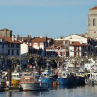 Holiday & Seasonal Tours