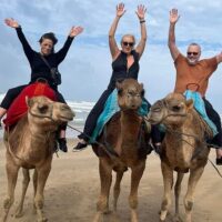 Full-day Tours