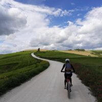 Half-day Tours