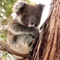 4WD, ATV & Off-Road Tours
