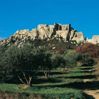 Cultural Tours