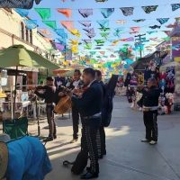 Bus & Minivan Tours