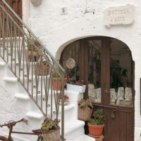 Shore Excursions