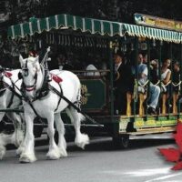 Horse Carriage Rides