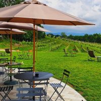 Luxury Tours