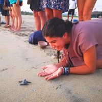 Nature & Wildlife