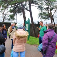 Private Sightseeing Tours