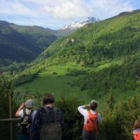 Bus & Minivan Tours