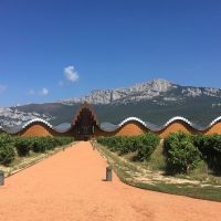 Day Trips & Excursions