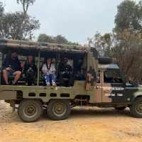 Half-day Tours