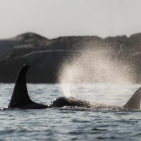 Day Trips & Excursions