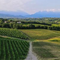 Food, Wine & Nightlife