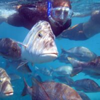 Snorkeling