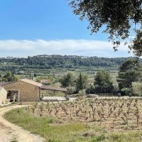 Holiday & Seasonal Tours