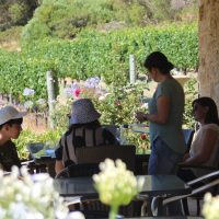 Luxury Tours
