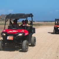 Plantation Tours