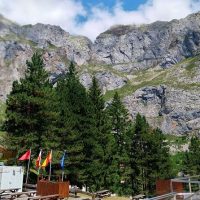 Bus & Minivan Tours
