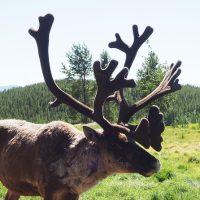 Half-day Tours