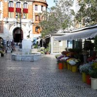 Cultural Tours