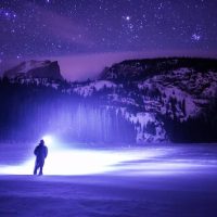 Night Tours