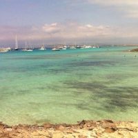 Private & Custom Tours