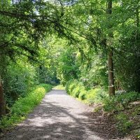 Walking & Biking Tours