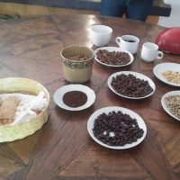 Coffee & Tea Tours