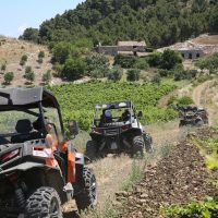 Sidecar Tours