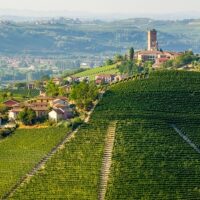 Private & Custom Tours