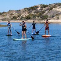 Stand Up Paddleboarding