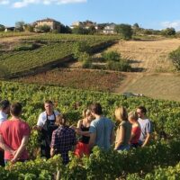 Shore Excursions