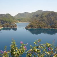 Bus & Minivan Tours