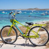 Walking & Biking Tours
