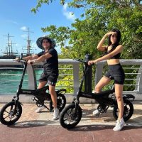 Segway Tours