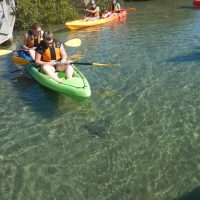 Water Sports