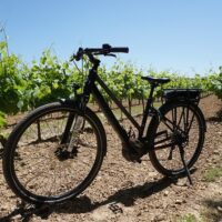 Bike & Mountain Bike Tours