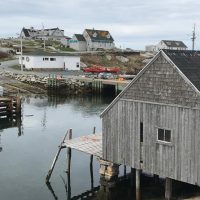 Day Trips & Excursions