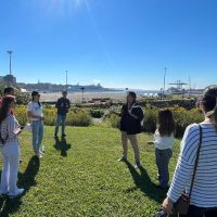 Cultural Tours