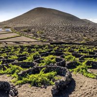 Full-day Tours