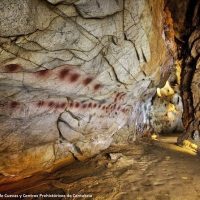 Day Trips & Excursions
