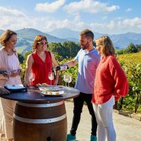 Shore Excursions