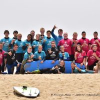 Surfing Lessons