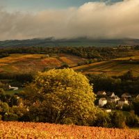 Private Sightseeing Tours