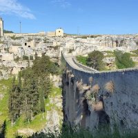 Private & Custom Tours
