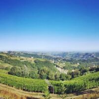 Food, Wine & Nightlife