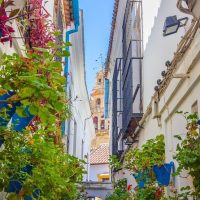 Day Trips & Excursions