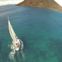 Day Cruises