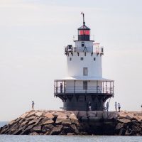 Cruises, Sailing & Water Tours