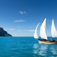 Boat Tours