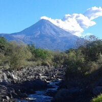 Coffee & Tea Tours
